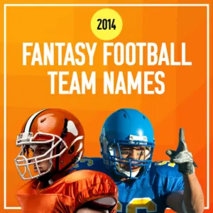 2014 Fantasy Football team names.