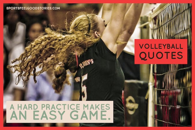 Volleyball Quotes image
