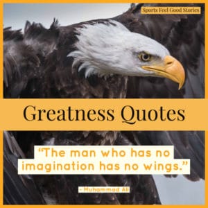 Sports Quotes about Greatness image