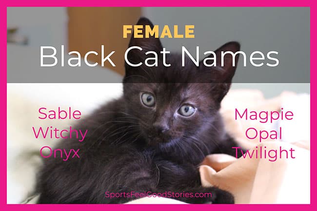 female black cat names