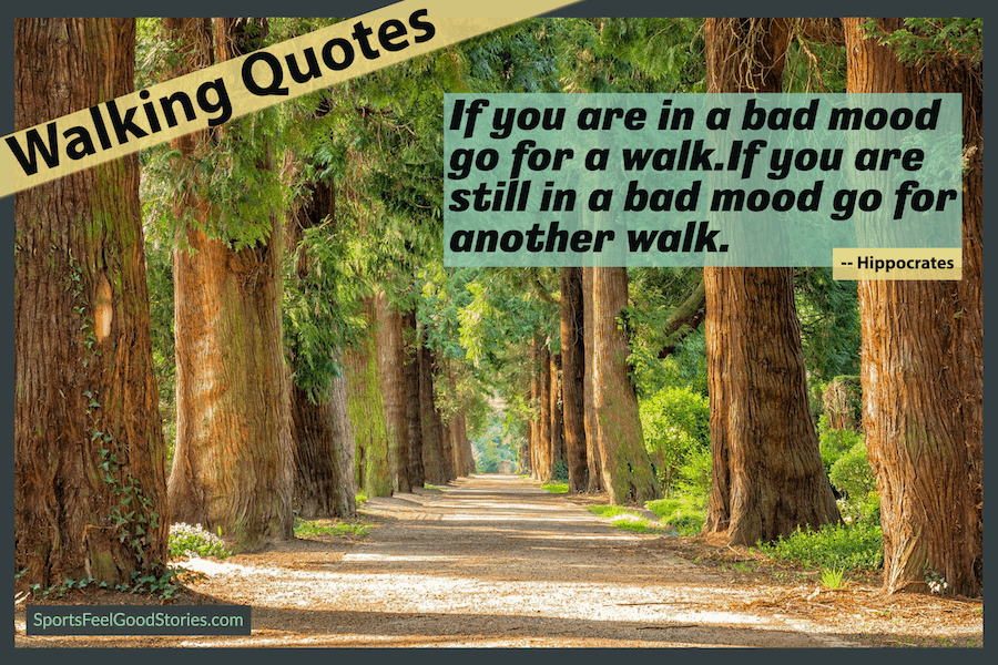 73 Beautiful Walking Quotes to Brighten Your Morning Walk