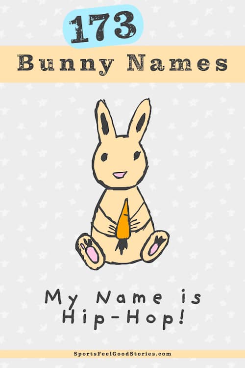 Naming ideas for rabbits
