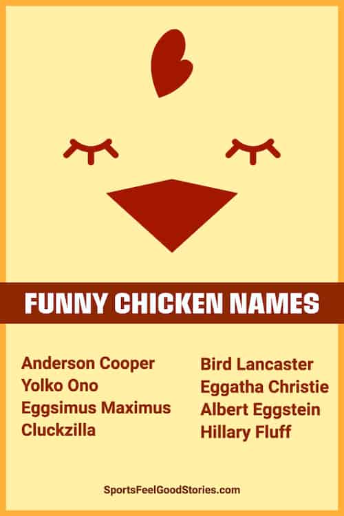 clever chicken names