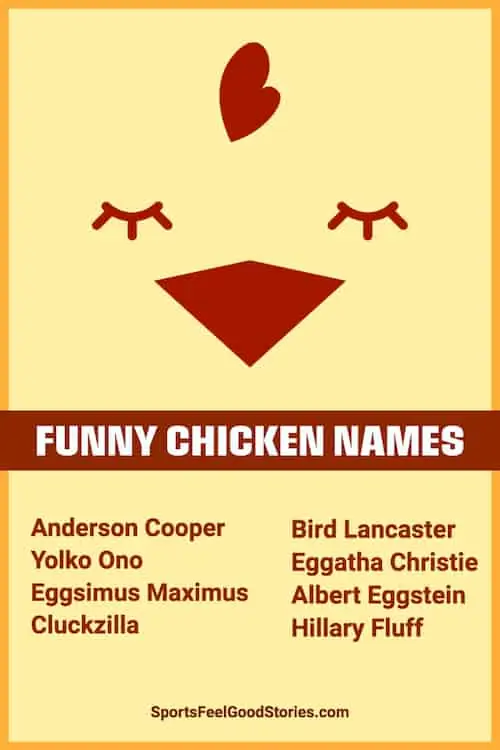 clever chicken names