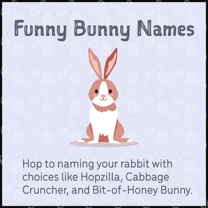 Clever bunny names.