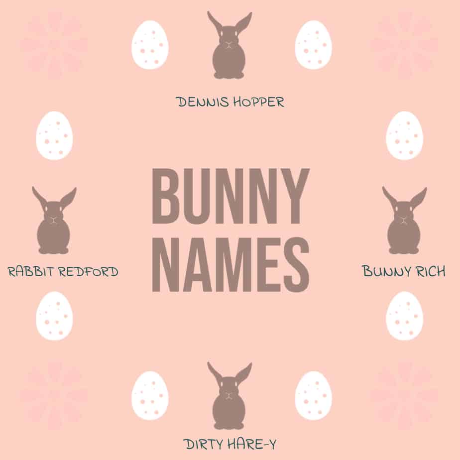 173 Bunny Names To Make a Rabbit Proud To Call a Hutch Home
