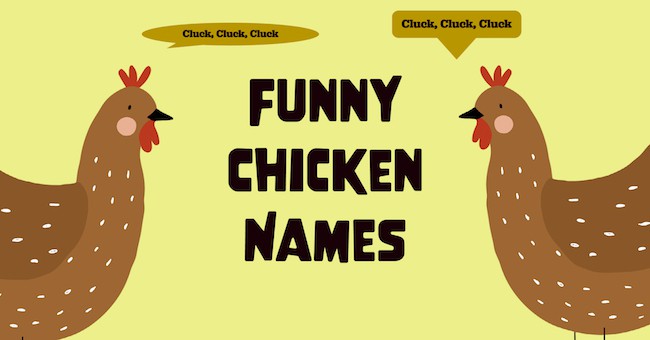 Funny chicken names