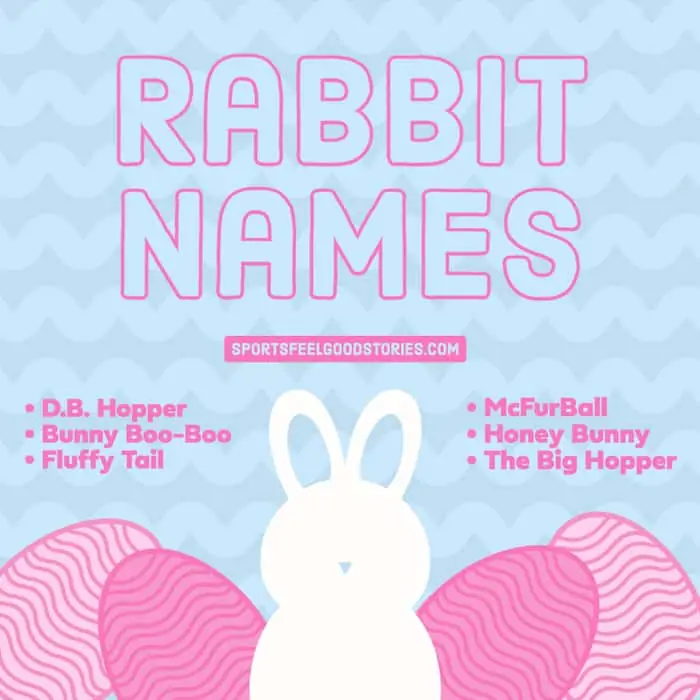 Good Rabbit monikers