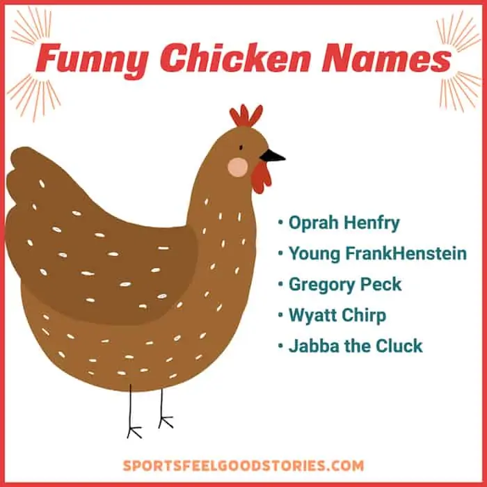 Really funny choices for chicken names.