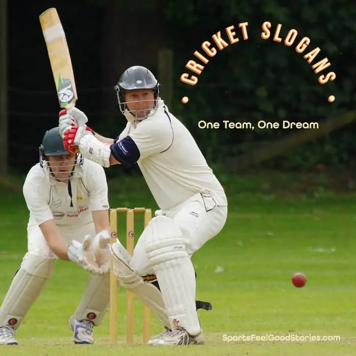 Best cricket slogans