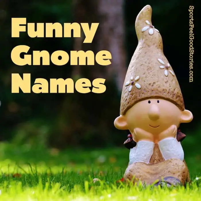 funny gnome names