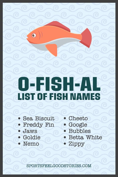 funny fish names