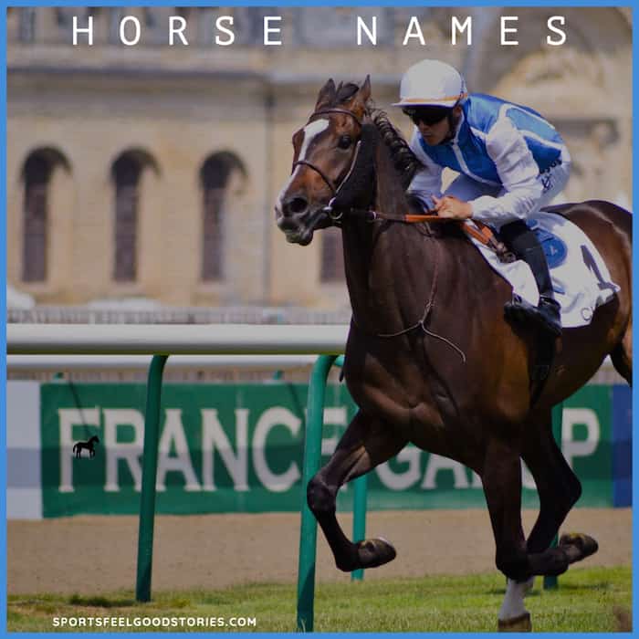 Horse Names.