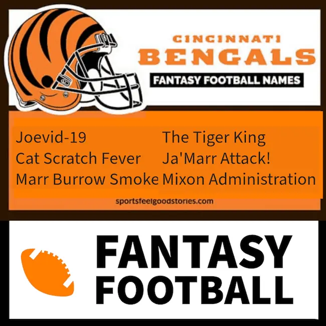 Best Cincinnati Bengals fantasy football team names.