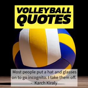 Awesome volleyball quotes.