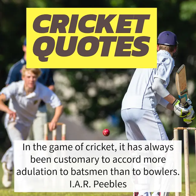 Best cricket quotes.