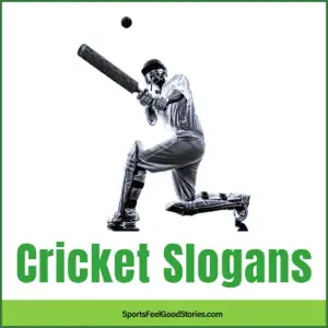Inspirational Cricket Slogans.